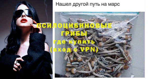 a pvp Аркадак